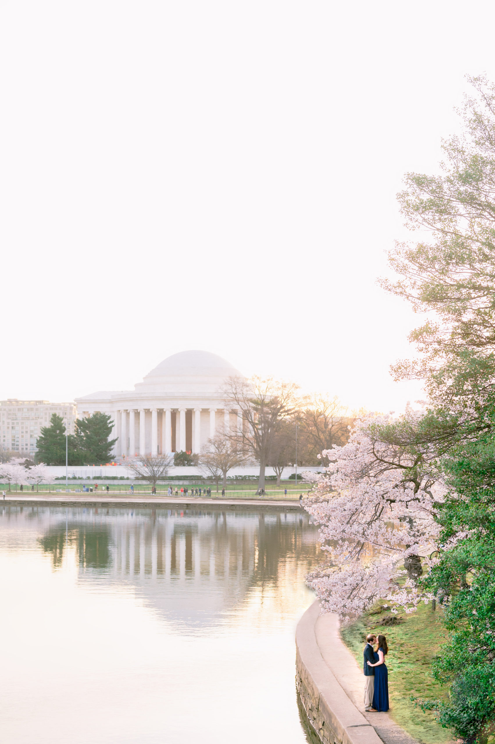 cherry blossom photos in Washington DC