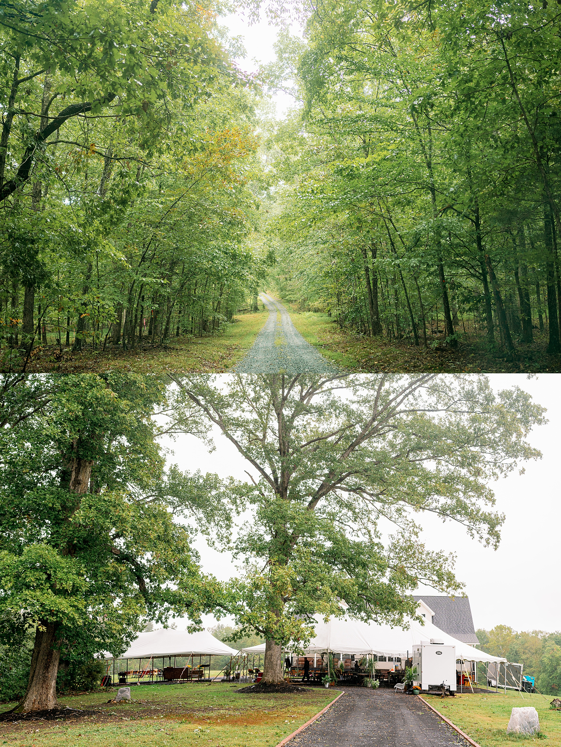 backyard wedding in Charlottesville Virginia