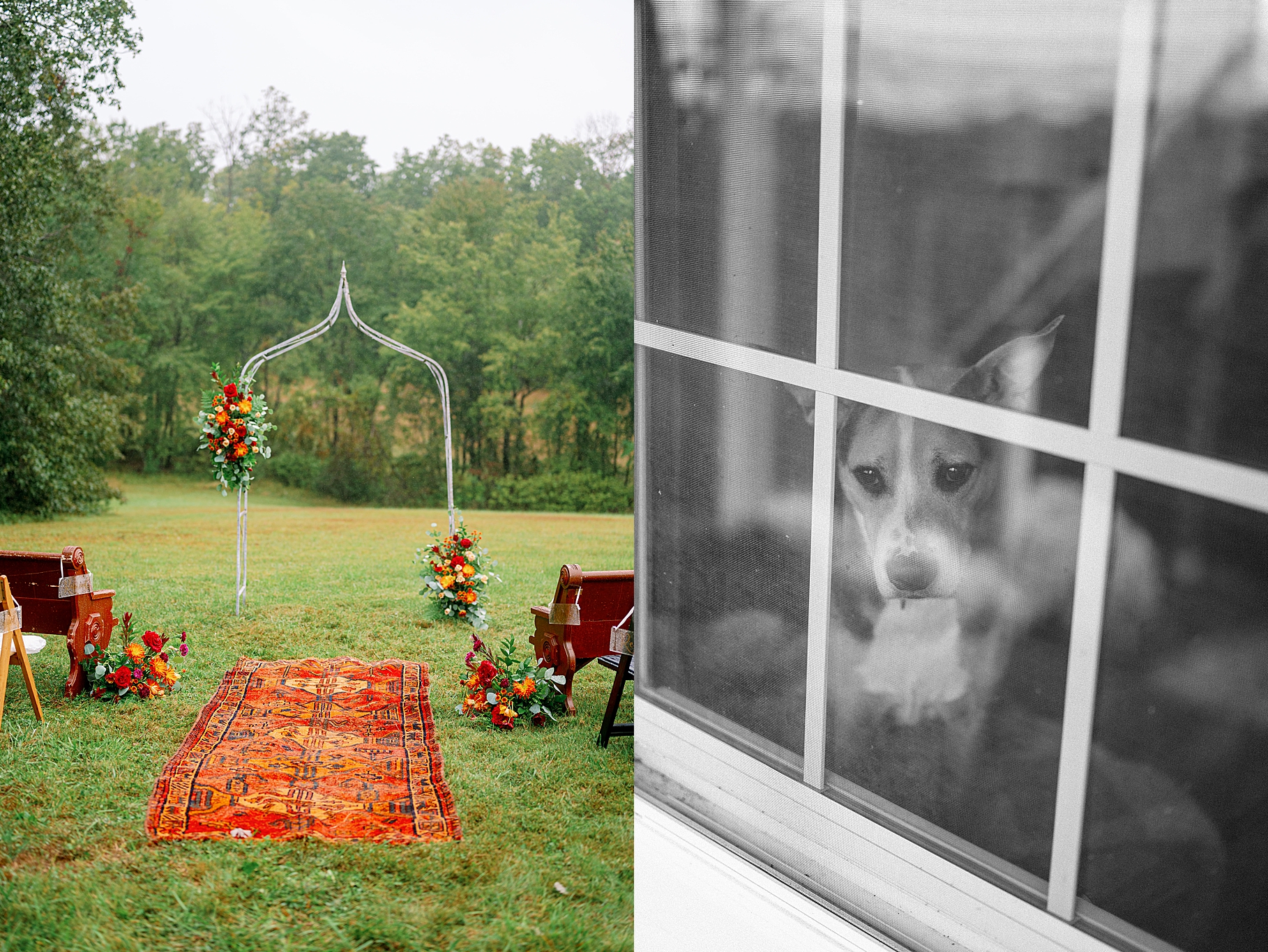 backyard wedding in Charlottesville Virginia