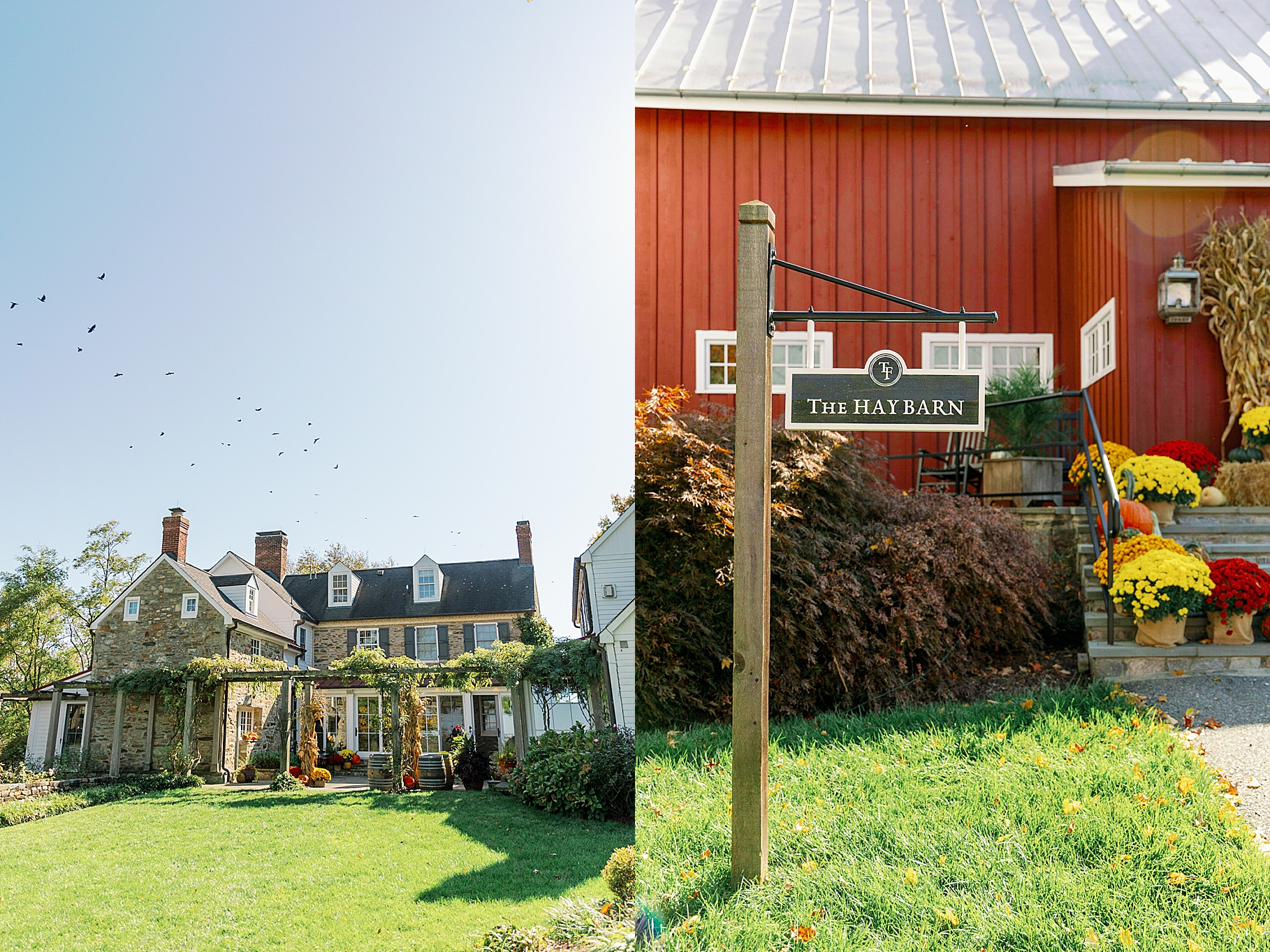 Maryland farm wedding