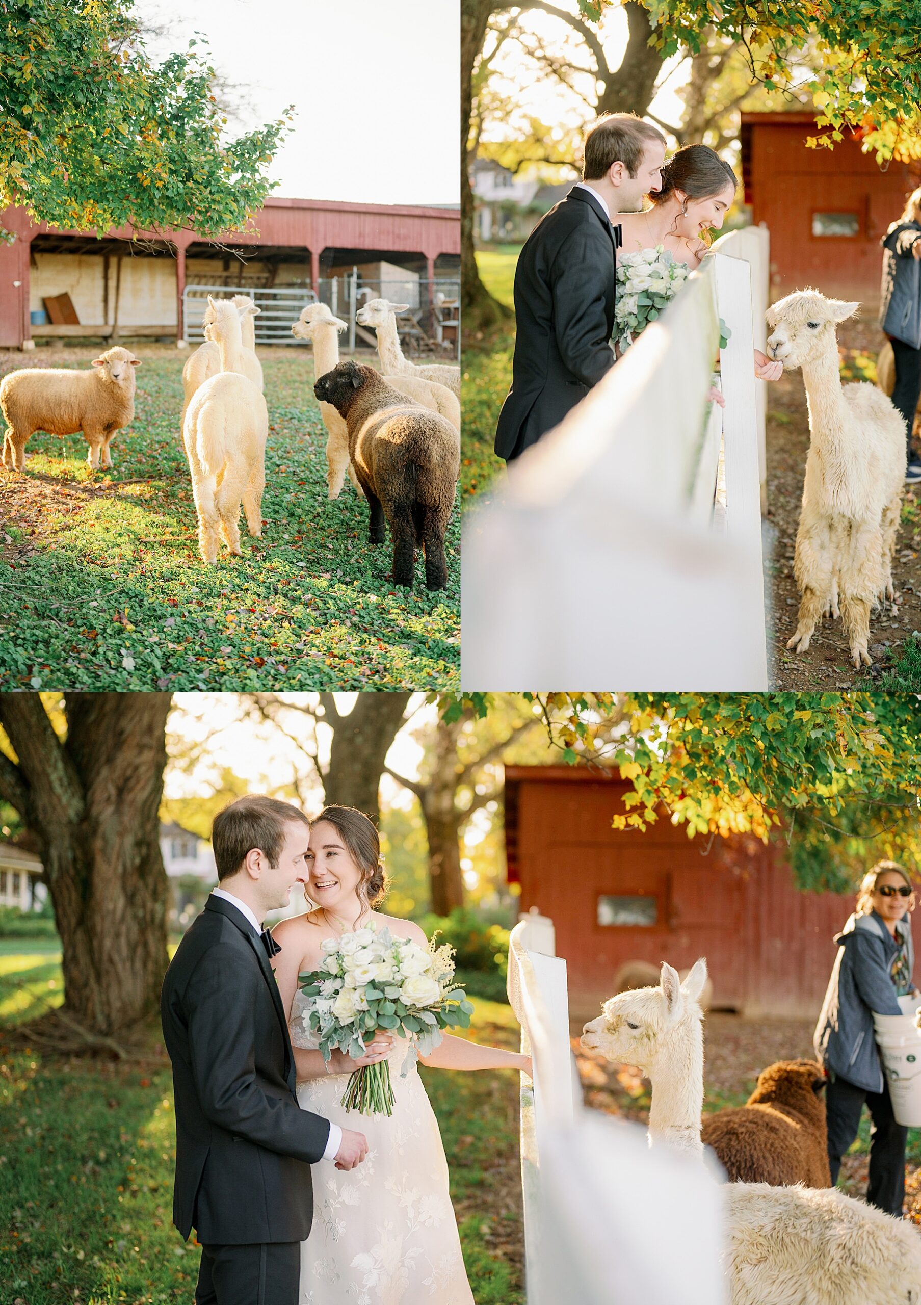 Maryland farm wedding