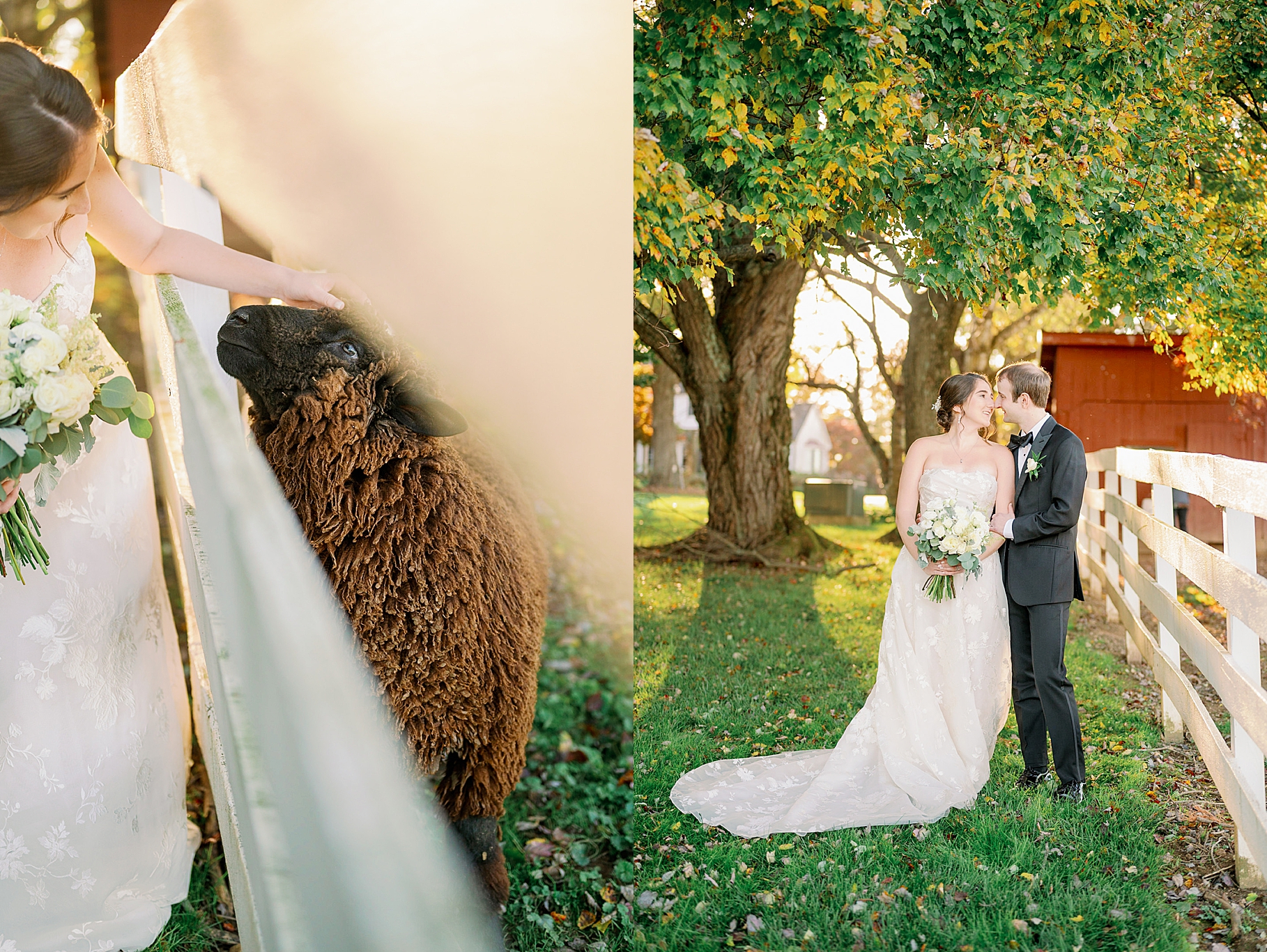 Maryland farm wedding